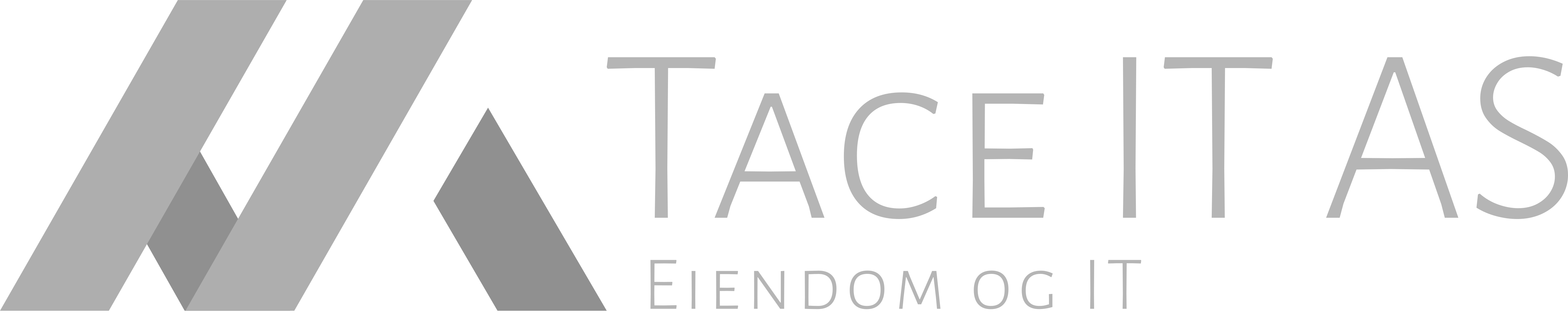 Tace IT AS